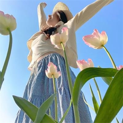 高文爵士与绿衣骑士